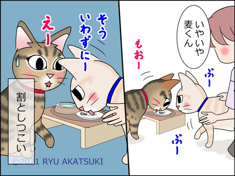 あんこ&麦STORY1447d