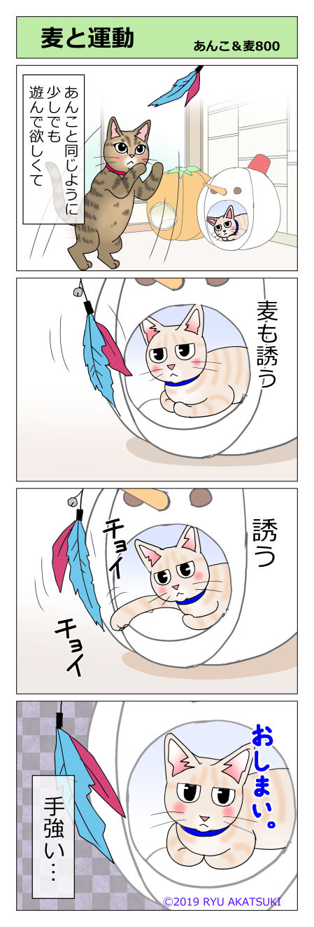 あんこ＆麦STORY800