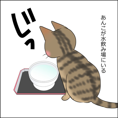 あんこ＆麦STORY1999a