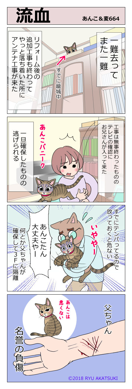 あんこ&麦STORY664