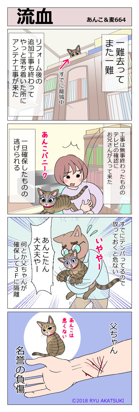 あんこ＆麦STORY664