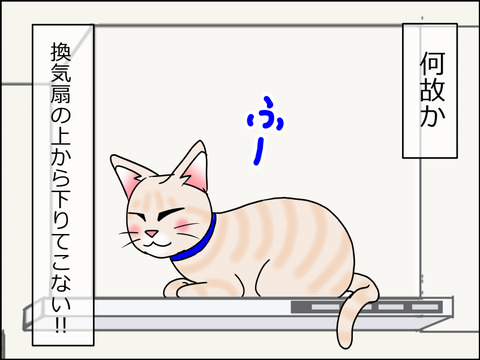 あんこ&麦STORY1528c