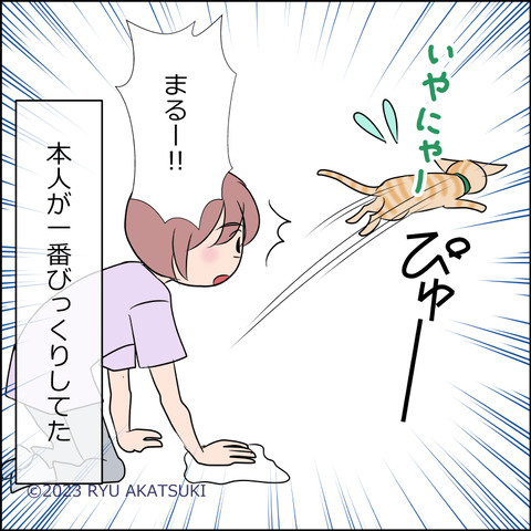 あんこ＆麦STORY1953d