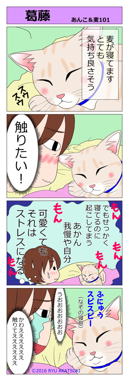 あんこ&麦STORY101