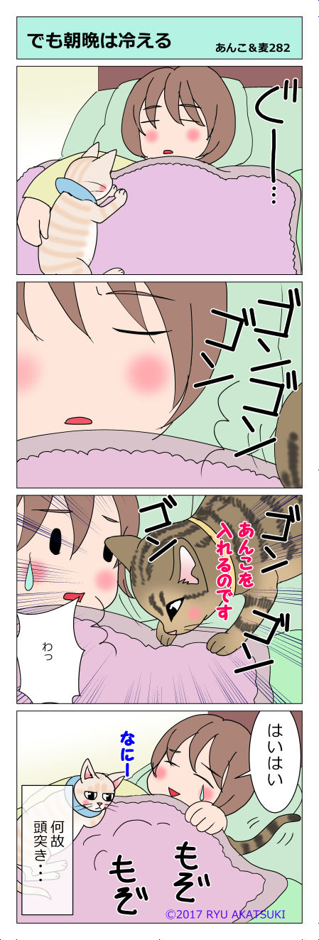 あんこ&麦STORY282