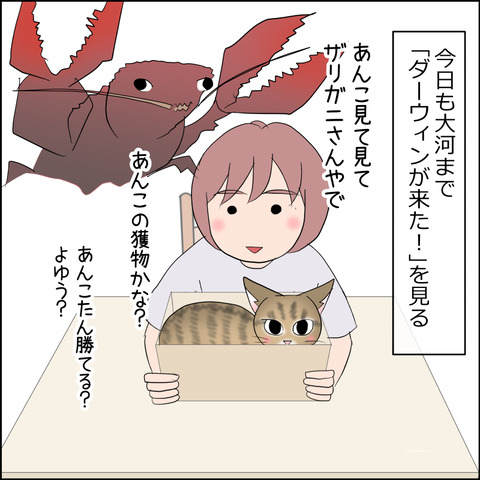 あんこ＆麦STORY2341a