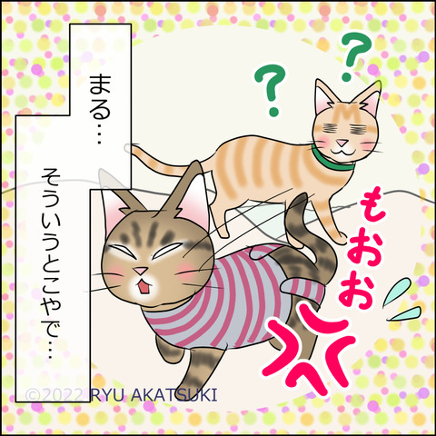 あんこ＆麦STORY1711d