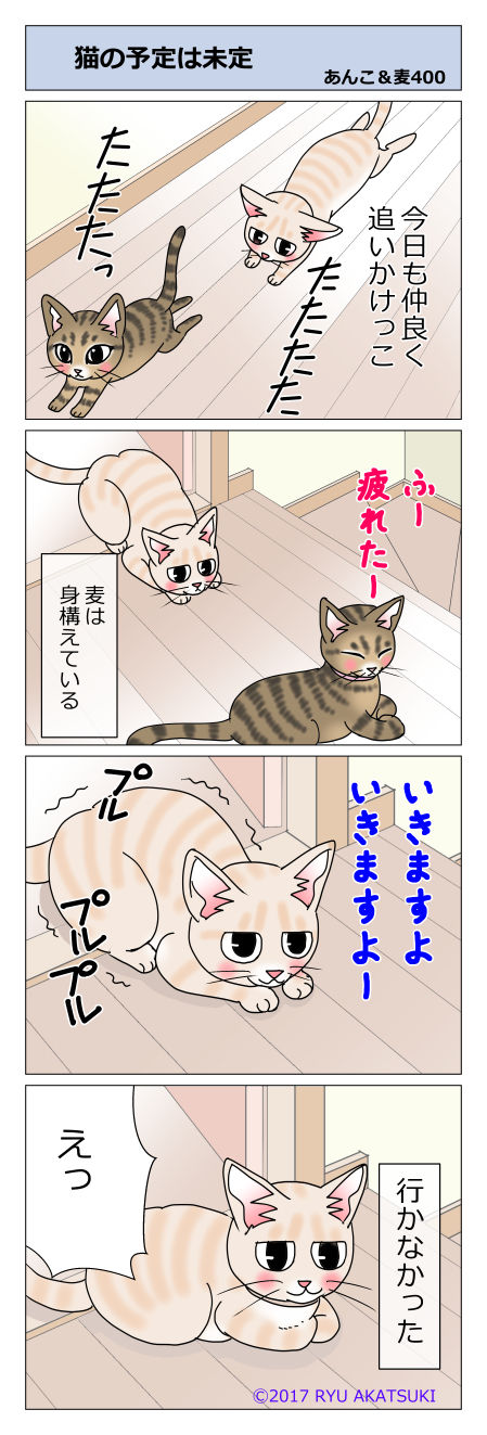 あんこ&麦STORY400