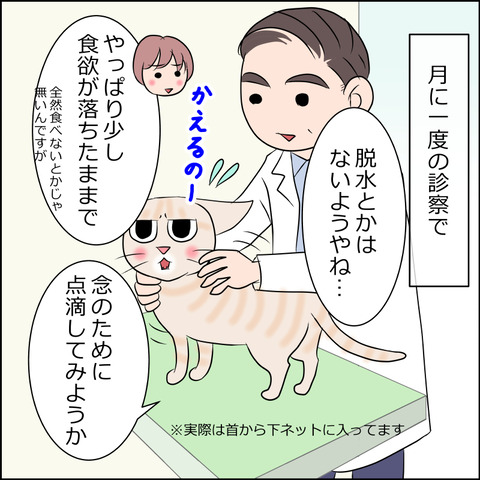 あんこ＆麦kenko84a