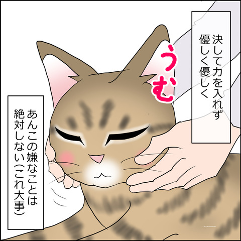 あんこ&麦STORY2365b