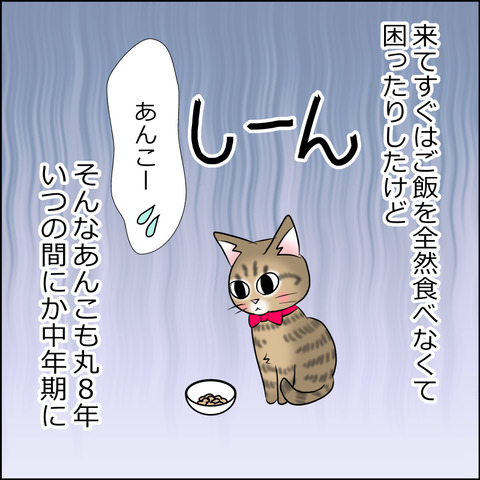 あんこ＆麦STORY1752b