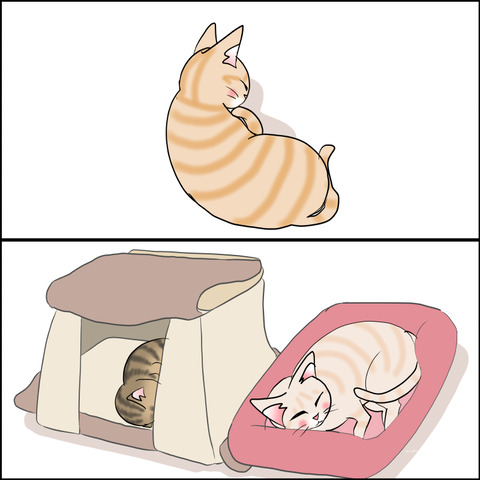 あんこ&麦STORY2382b