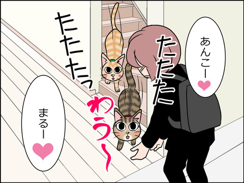 あんこ&麦STORY1585c