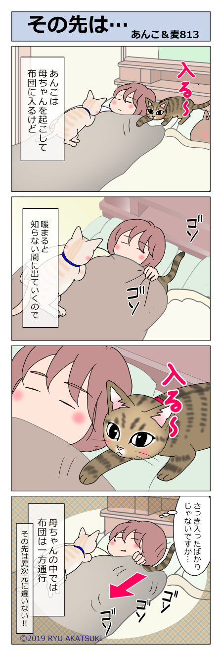 あんこ＆麦STORY813