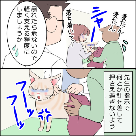 あんこ＆麦kenko109c