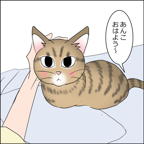 あんこ&麦STORY2483b