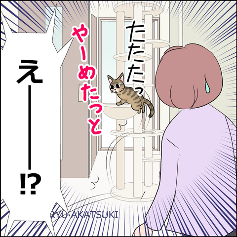 あんこ＆麦STORY2097d