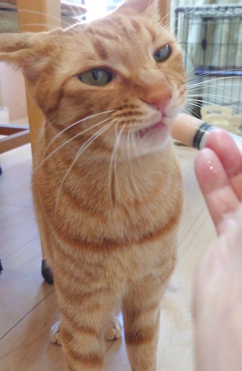 Screenshot_2024-12-18-18-20-24