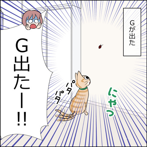 あんこ＆麦STORY2169a