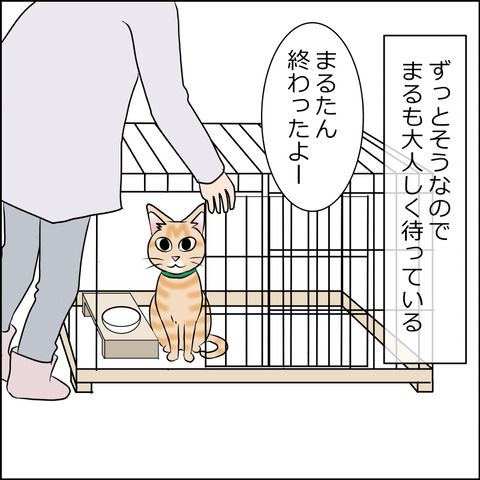 あんこ＆麦STORY1790b