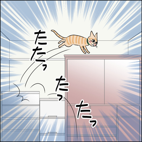 あんこ＆麦STORY1805b