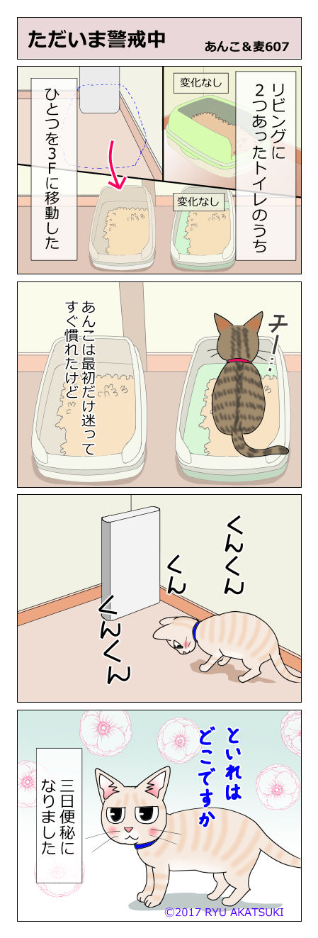 あんこ&麦STORY607