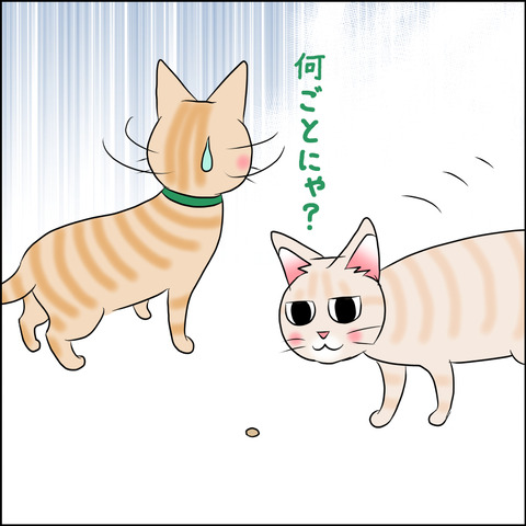 あんこ＆麦STORY1753c