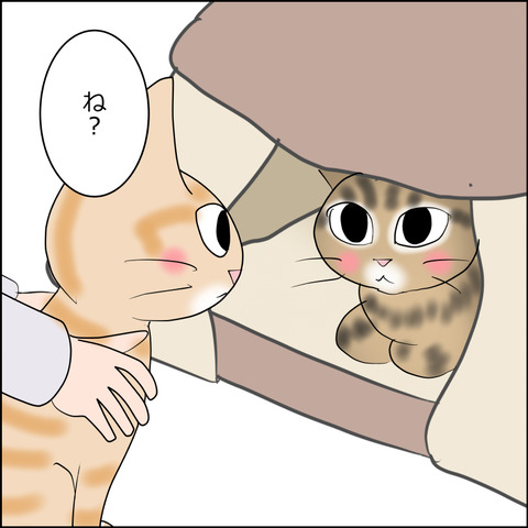 あんこ＆麦STORY2418b