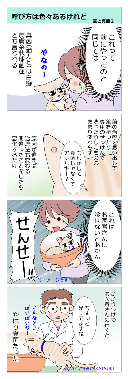 あんこ&麦kenko18