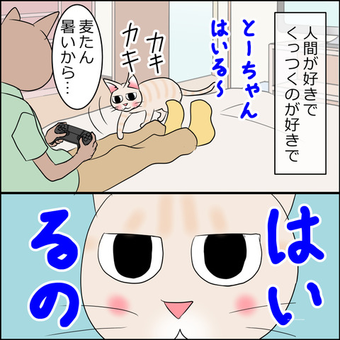 nekokita252b