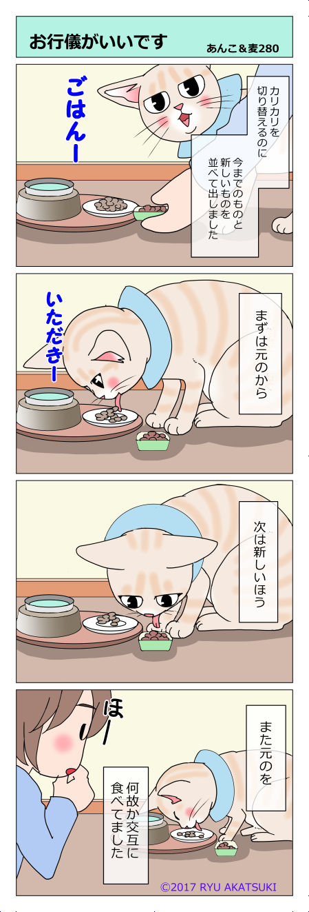 あんこ&麦STORY280