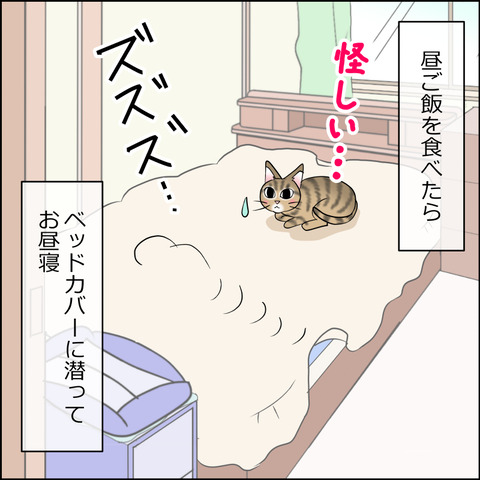あんこ＆麦STORY2362b
