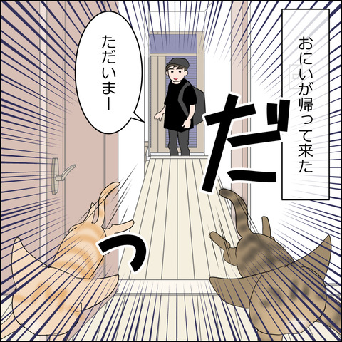 あんこ＆麦STORY2349a