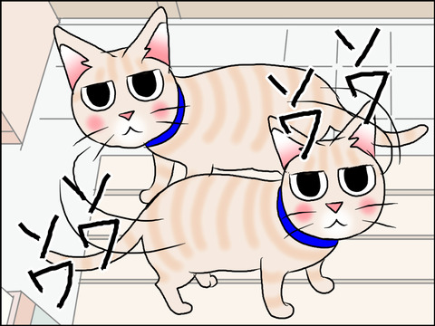 あんこ&麦STORY1623b