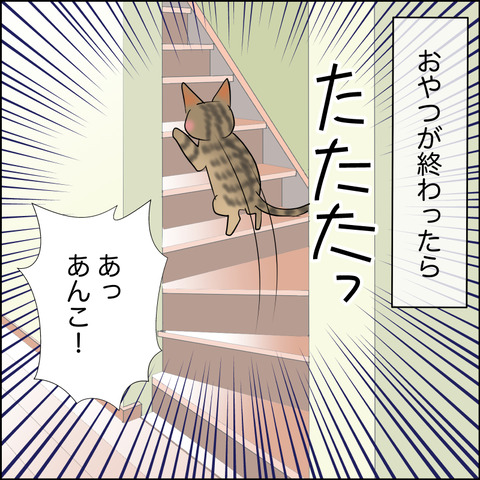 あんこ＆麦STORY2131a