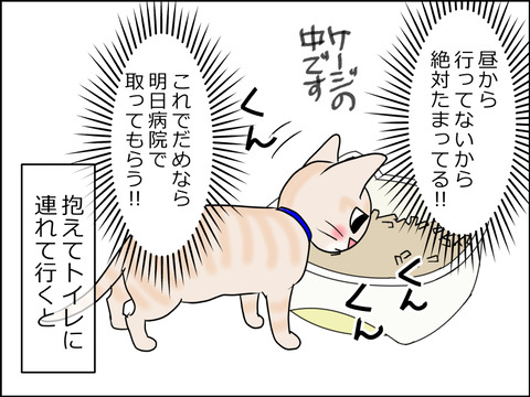 あんこ&麦kenko29b