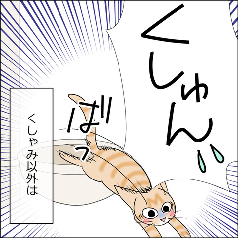 あんこ&麦STORY2407d