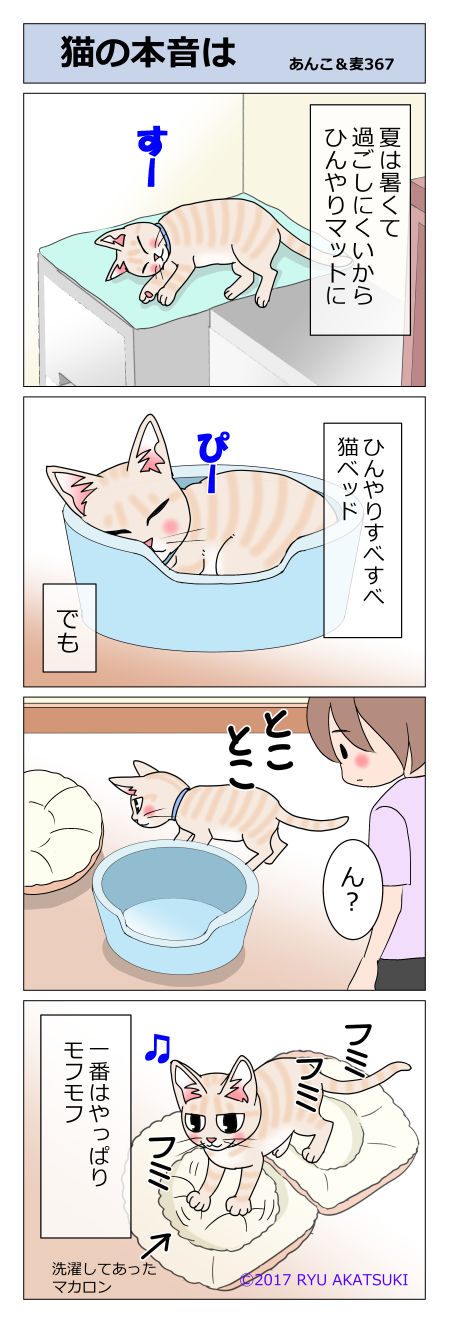 あんこ&麦STORY367