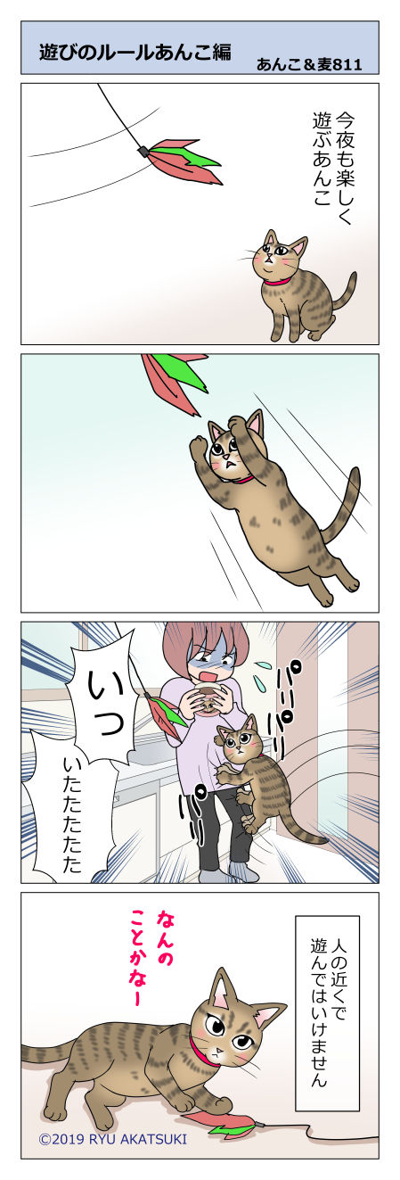 あんこ&麦STORY811