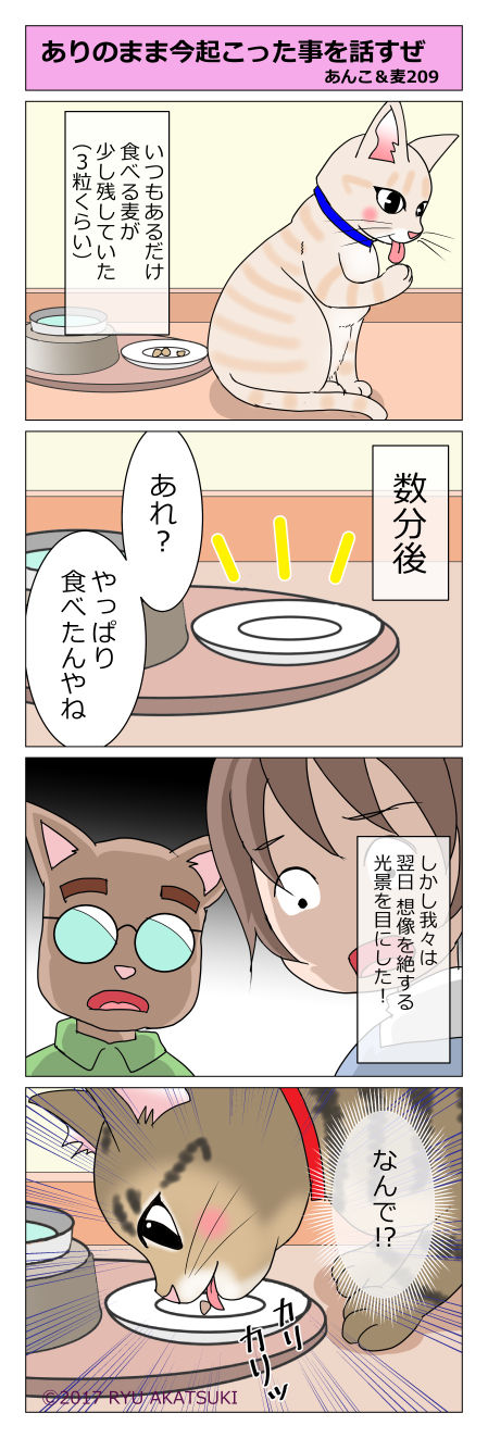 あんこ&麦STORY209