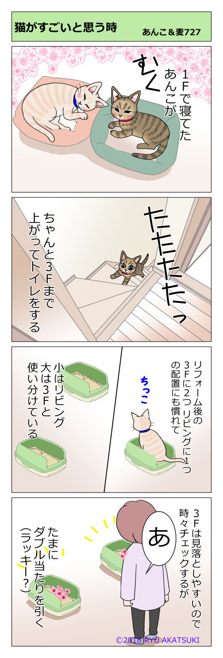 あんこ&麦STORY727