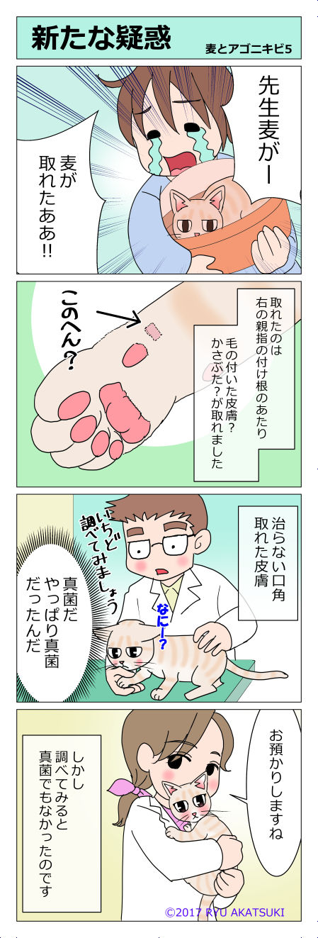 あんこ&麦kenko13