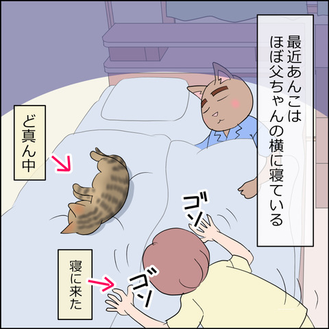 あんこ&麦STORY2331a