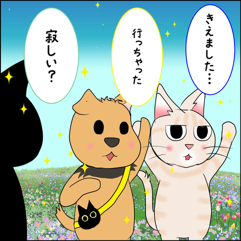 mugitabix036d