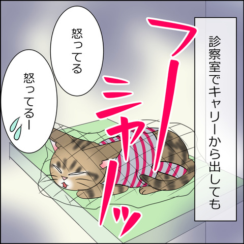 あんこ＆麦STORY1733b