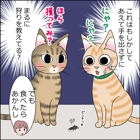 あんこ&麦STORY1957c