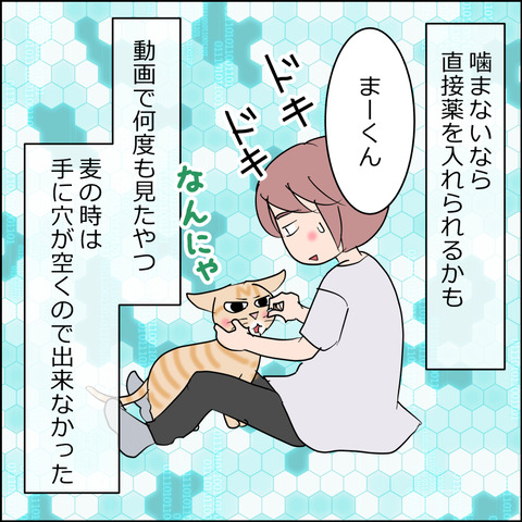 あんこ&麦kenko160a