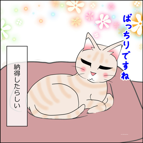 あんこ＆麦STORY2411g