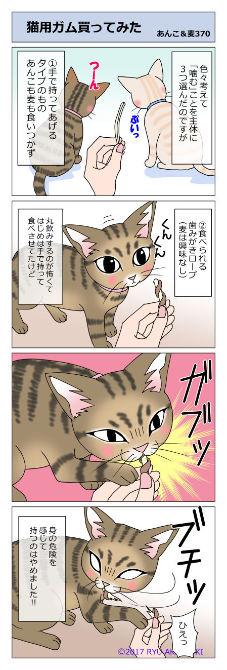 あんこ&麦STORY370