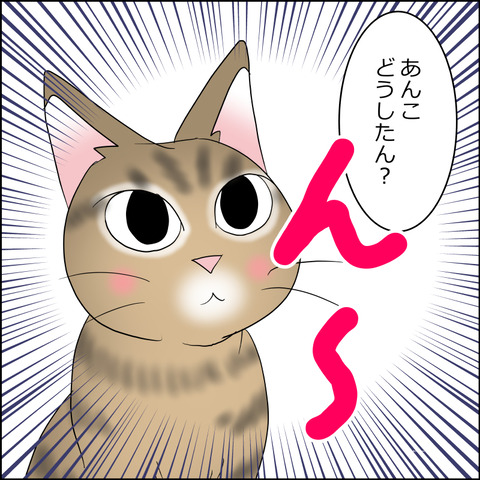 あんこ＆麦STORY2219c